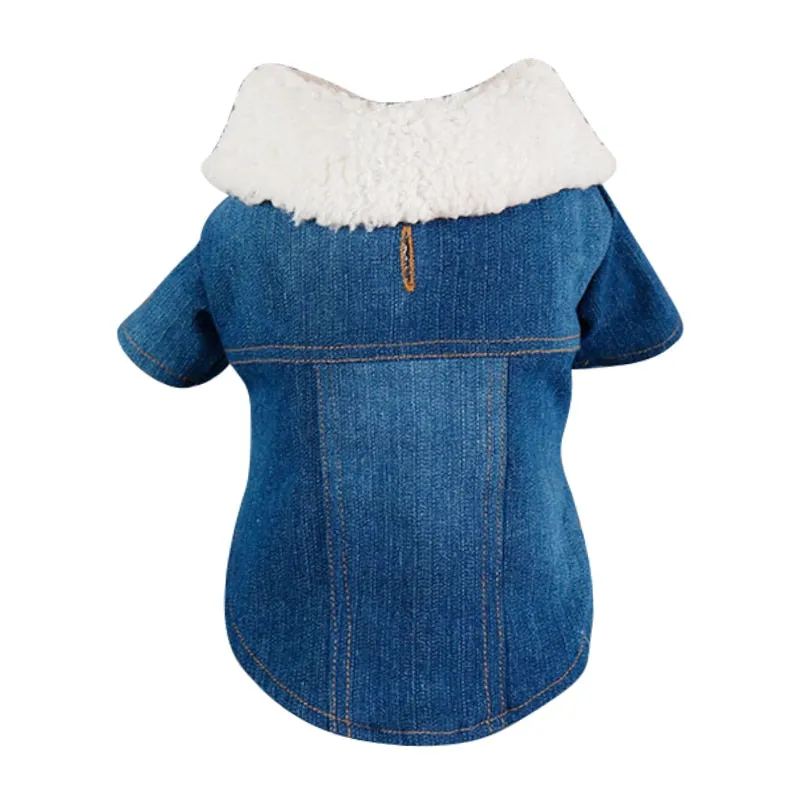 Denim Coat Jeans Costume Chihuahua Poodle