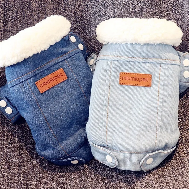 Denim Coat Jeans Costume Chihuahua Poodle