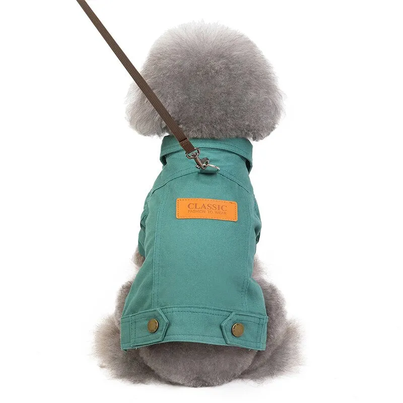 Denim Coat Jeans Costume Chihuahua Poodle