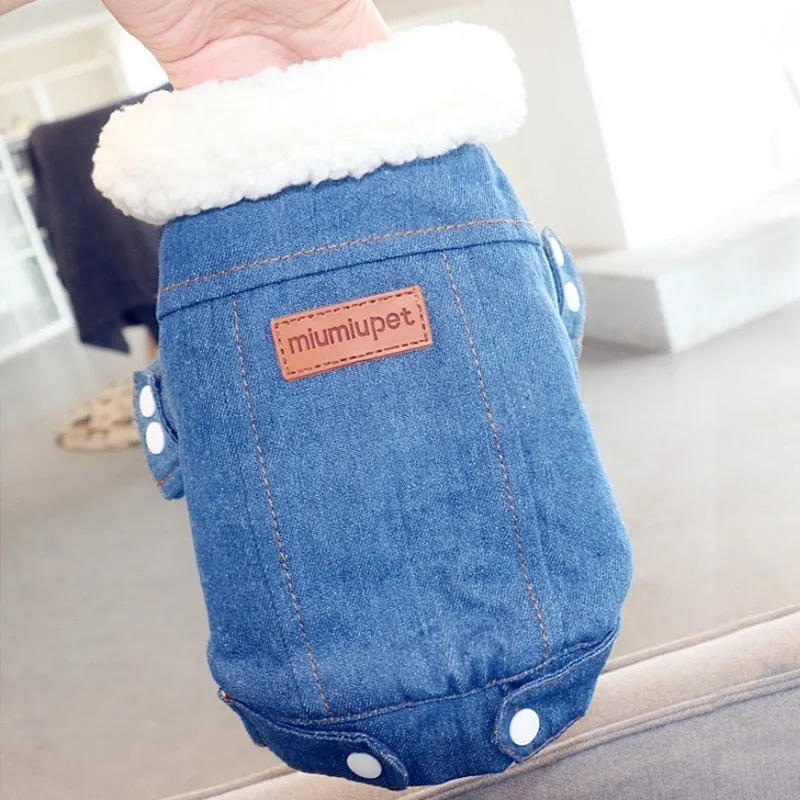 Denim Coat Jeans Costume Chihuahua Poodle