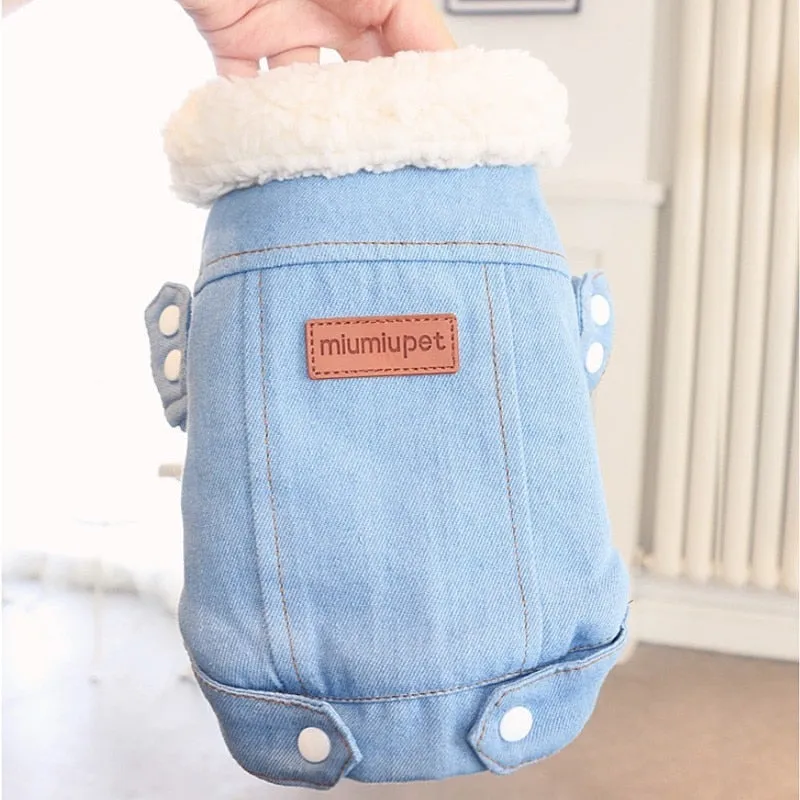 Denim Coat Jeans Costume Chihuahua Poodle