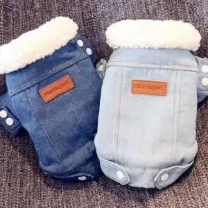 Denim Coat Jeans Costume Chihuahua Poodle