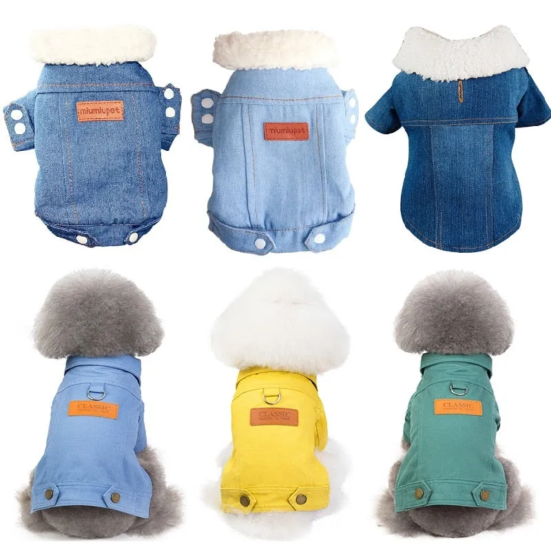 Denim Coat Jeans Costume Chihuahua Poodle
