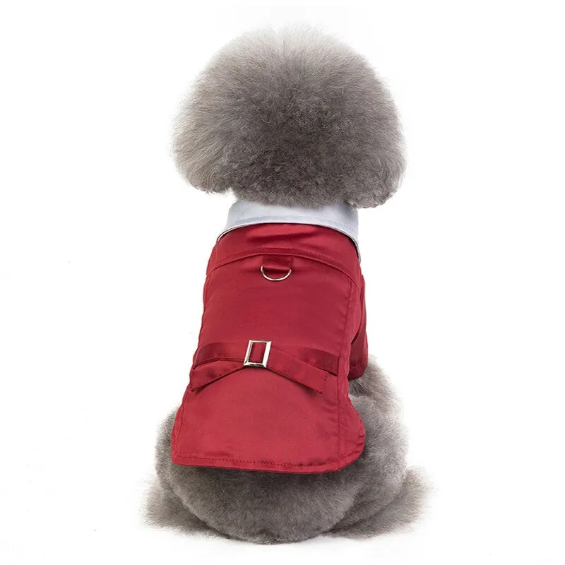 Denim Coat Jeans Costume Chihuahua Poodle