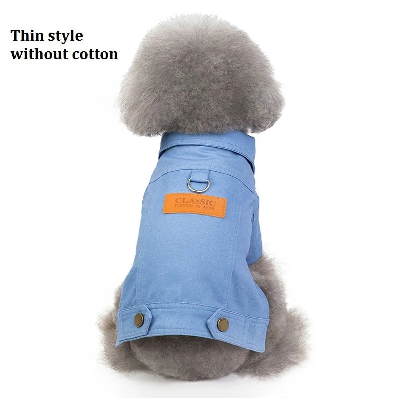 Denim Coat Jeans Costume Chihuahua Poodle